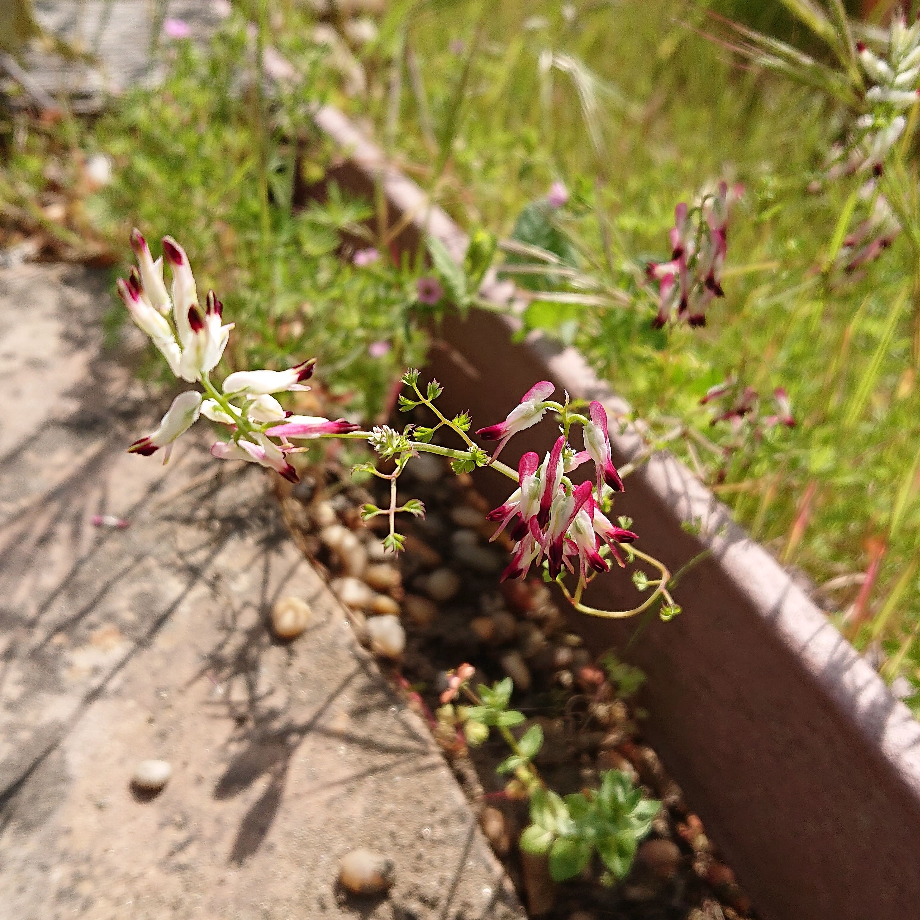 img_20190419_195548_042